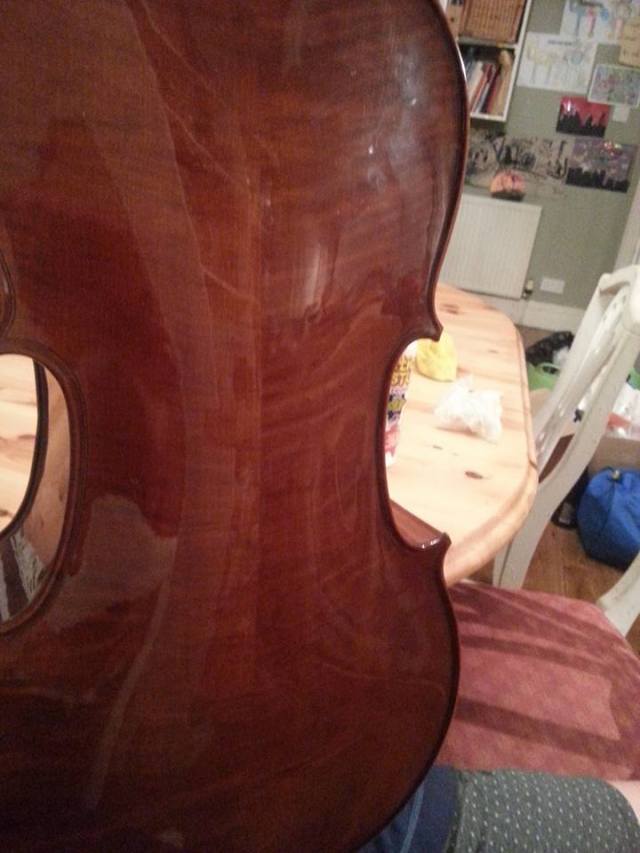 14102316_10154283117266013_8045165601573472995_n